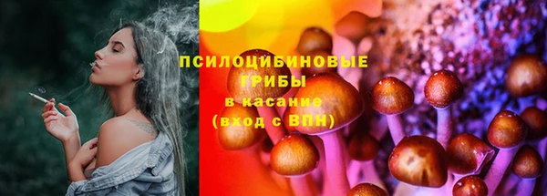 соль курить ск Горно-Алтайск