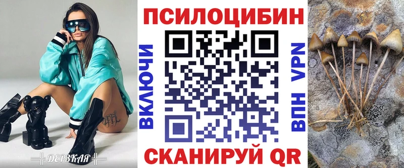 Псилоцибиновые грибы Magic Shrooms  Купить закладки  Татарск 